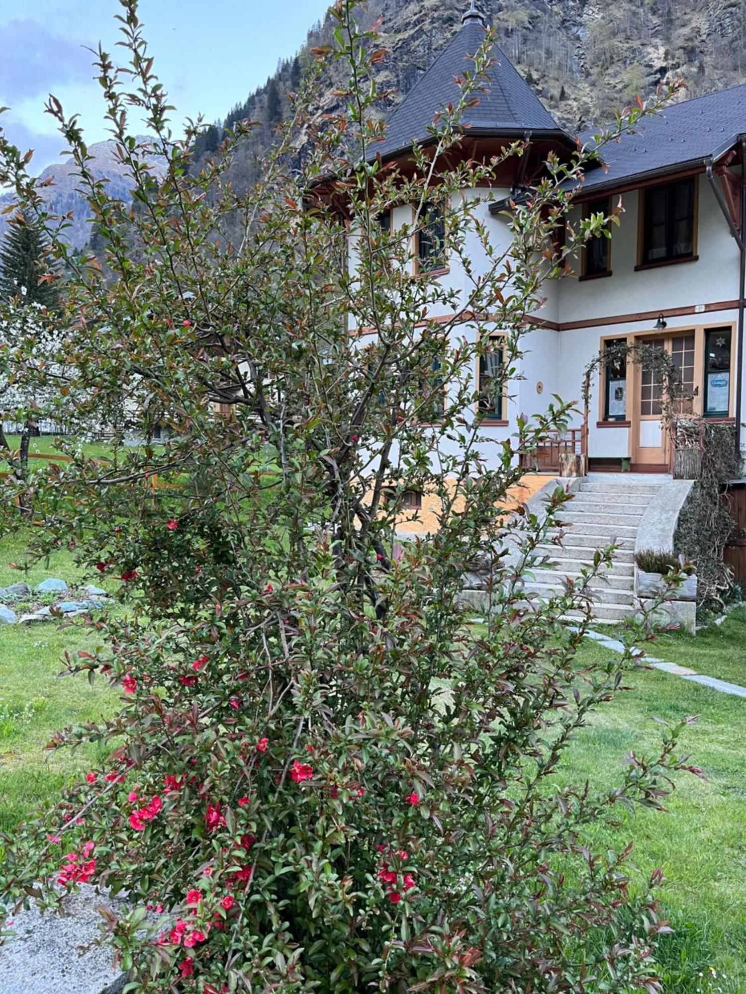 Bed and Breakfast L'Aria Di Casa Alagna Valsesia Exterior foto