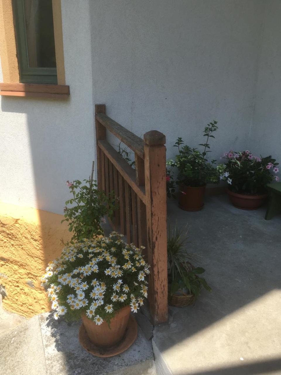 Bed and Breakfast L'Aria Di Casa Alagna Valsesia Exterior foto